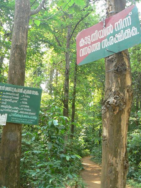 Illithode - Kerala