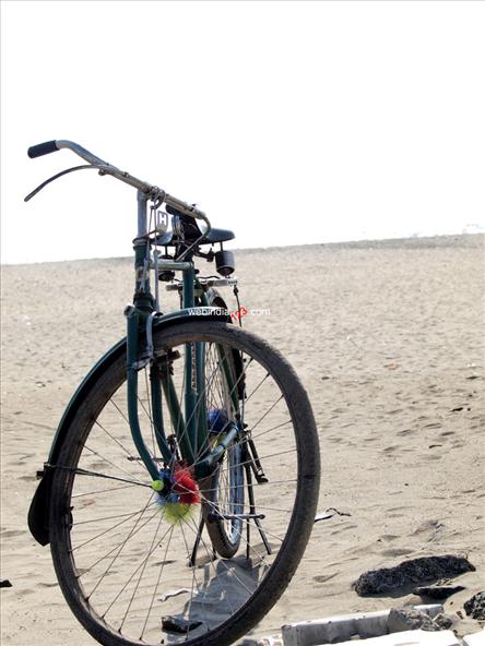 Cycle