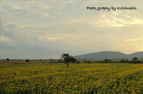Nature+Beauty