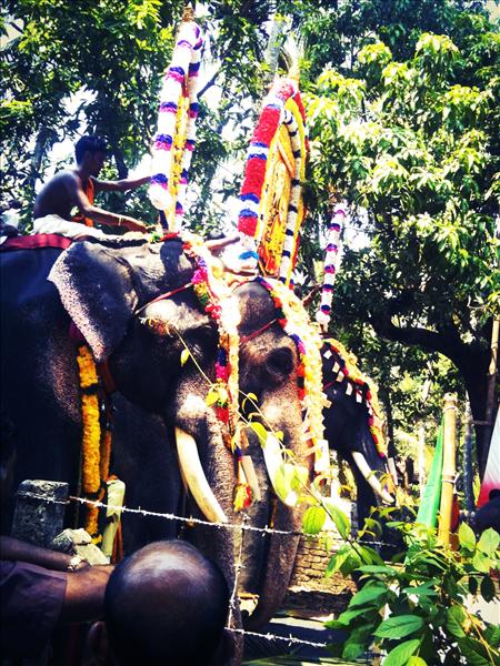 Pooram Festival of Kerala