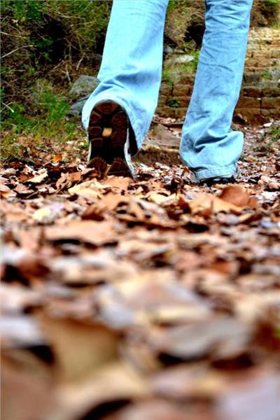 steps towards travel