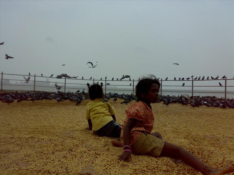 fly away dream