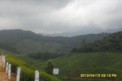 The exotic beauty of Munnar